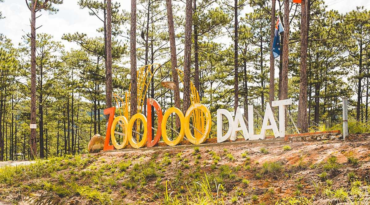 Vườn thú ZooDoo là địa điểm vui chơi Đà Lạt không thể bỏ lỡ