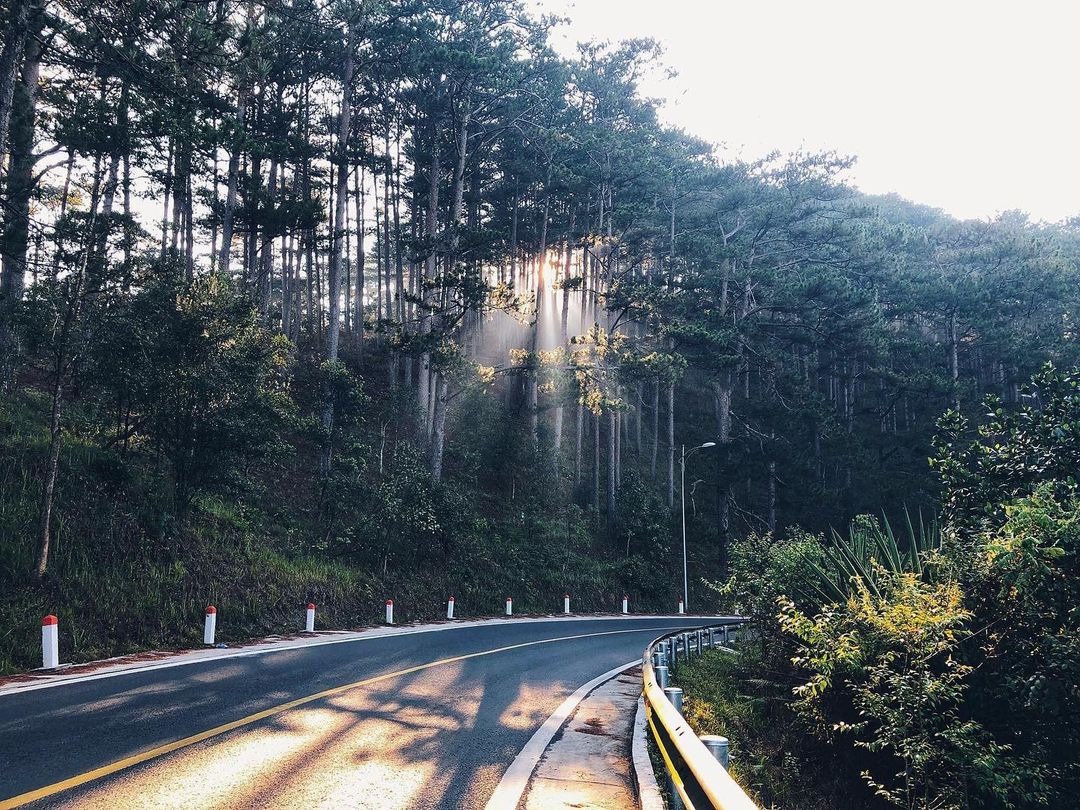 Tận hưởng cảnh quan đẹp “xiêu lòng” trên cung đường đến ZooDoo