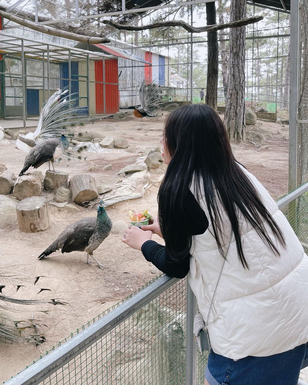 Tuân thủ các quy định của sở thú