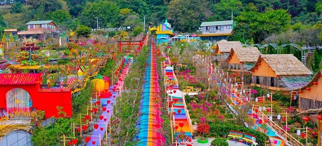 Vườn thượng uyển bay Đà Lạt – Không gian sống động giữa thành phố mộng mơ