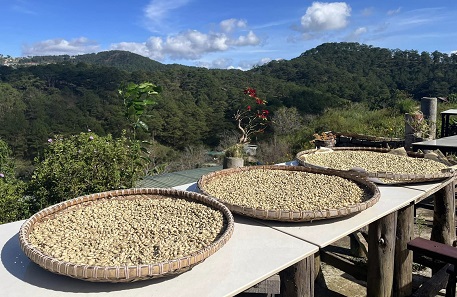 Weasel Coffee Farm Dalat: Enjoy premium and expensive coffee