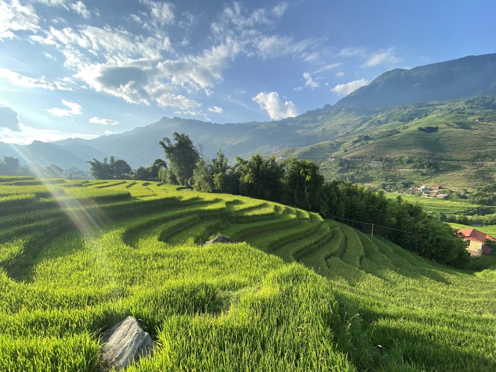 Weather in Sapa in May The mesmerizing beauty of Sapa rice fields in May