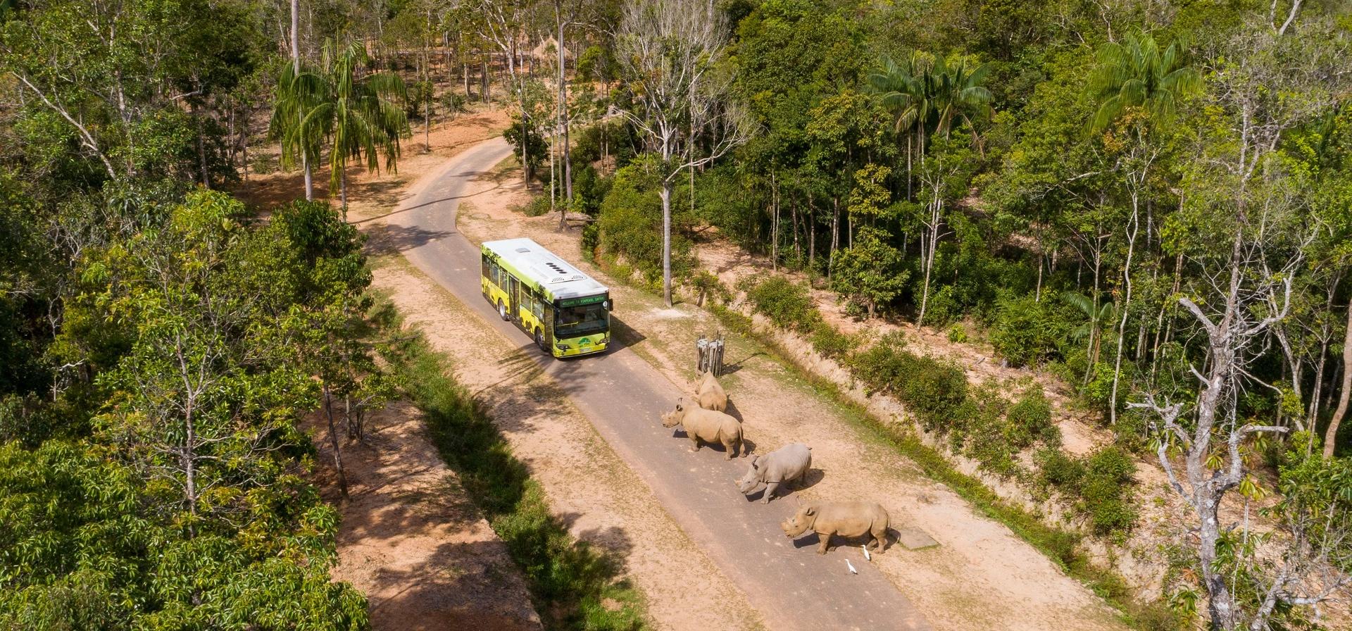Wildlife in Vietnam